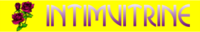Logo Rööschen´s Intimvitrine